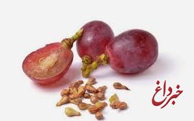 عصاره دانه انگور موجب بهبود سندروم متابولیک می شود عصاره دانه انگور موجب بهبود سندروم متابولیک می شود