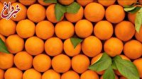 پوست پرتقال چه خواصی دارد؟/ میوه ای که عثمانی ها آن را به اروپا بردند
